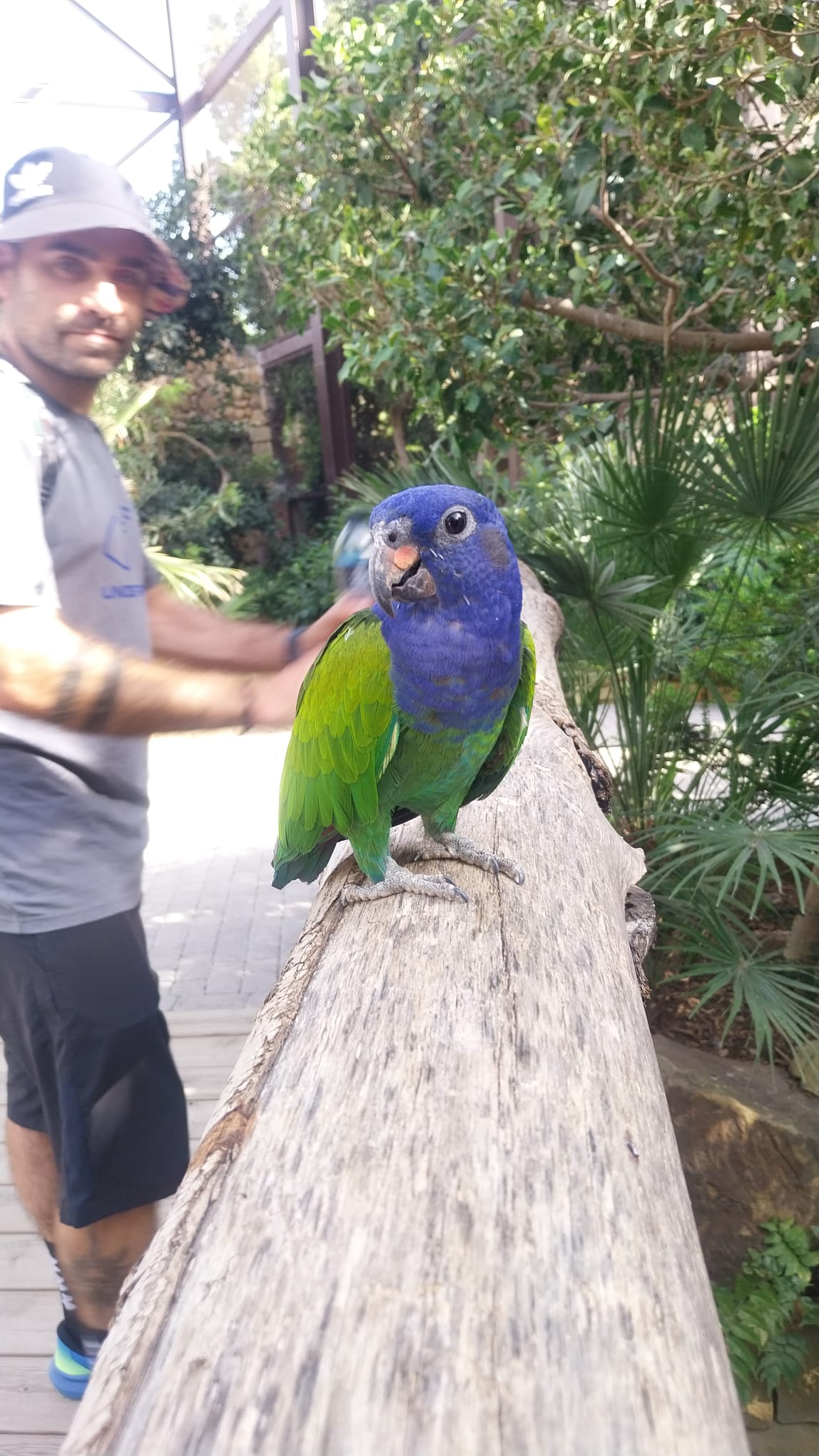 Bioparc Fuengirola: un viaje por la naturaleza de día y de noche